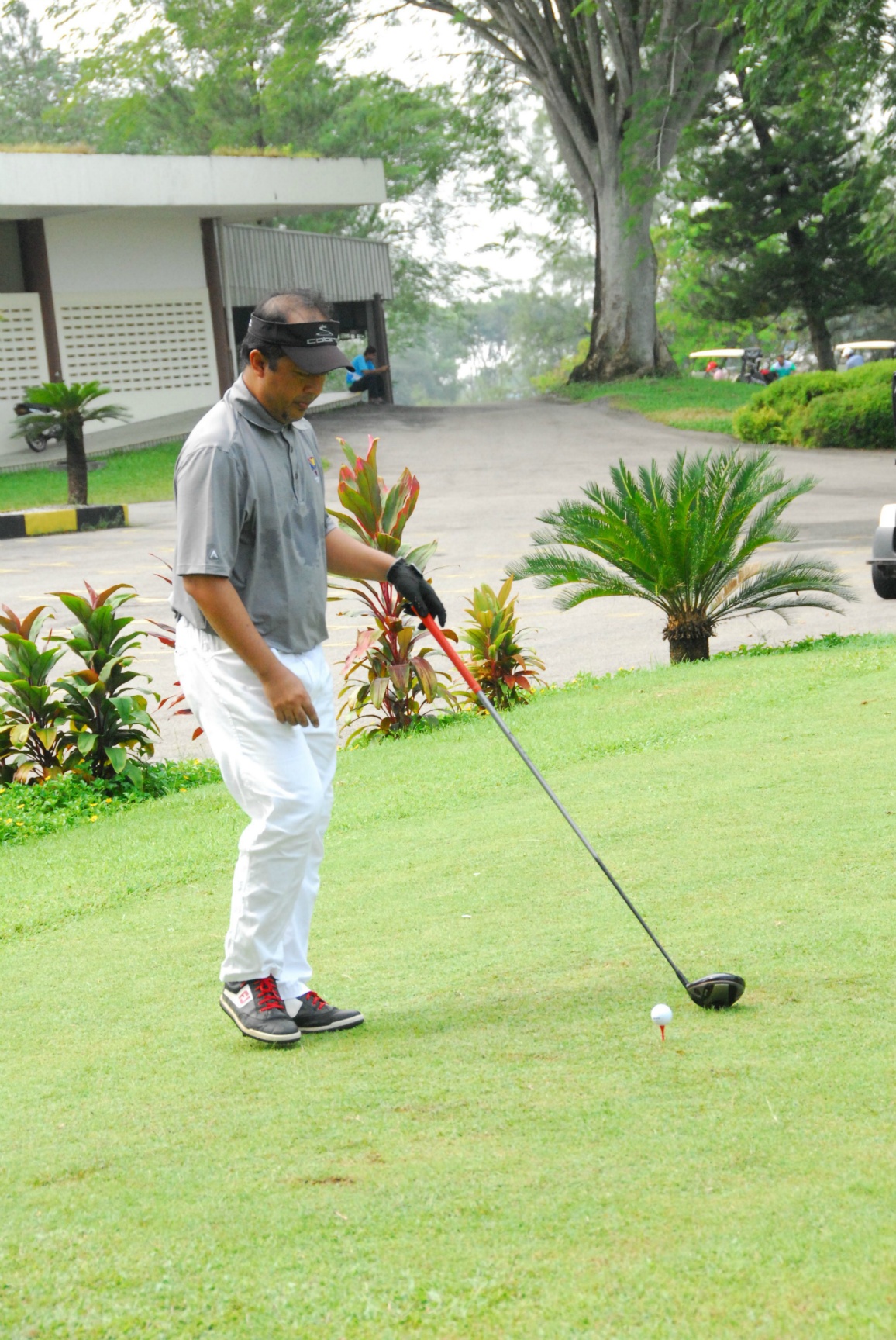 PRO15 157 GOLF DSC 0439.JPG